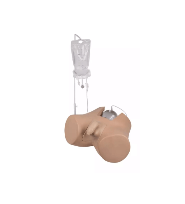 Blasenkatheterisierungs - Simulator „Henri“, männlich – realistisches Trainingsmodell zur transurethralen Katheterisierung - Erler - Zimmer